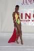 MHJ 7 (338Wx493H) - Miss World Wardrobe 